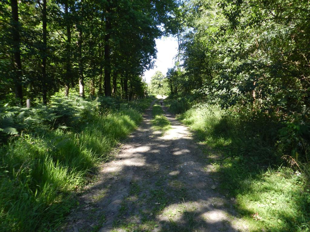 B&B Le Bois De Champia Huy Bagian luar foto