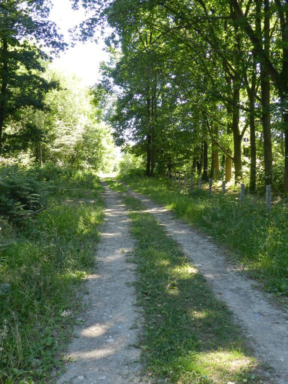 B&B Le Bois De Champia Huy Bagian luar foto